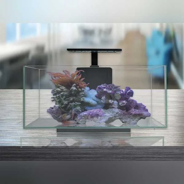 10 Gallon Premium Complete Aquarium Set - Image 2