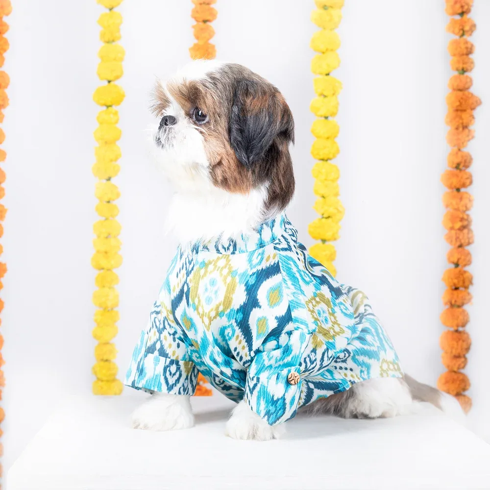 15 Furries Nawab Kurta for Dogs - Image 2