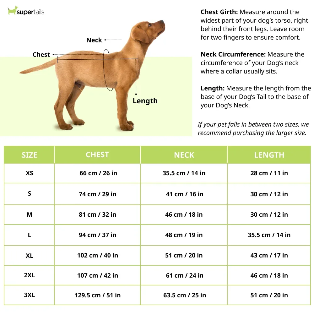 15 Furries Sherwani for Dogs (Yellow) - Image 2