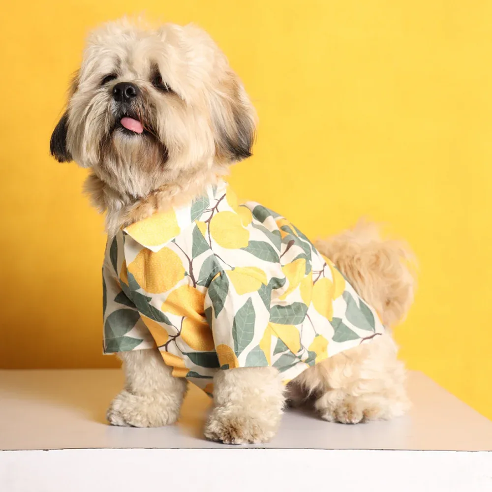 15buttons Limon Shirt for Dogs