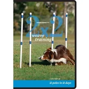 2x2 Weave Training 2