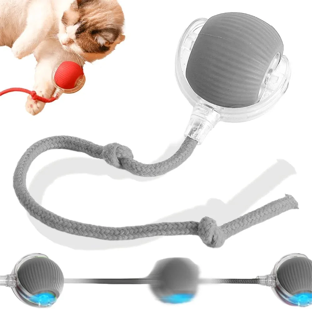 360 Smart Self Rolling Pet Ball – Automatic Interactive Toy for Dogs and Cats - Image 2