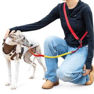 4-in-1 Hands-Free Dog Leash – Adjustable Bungee Lead