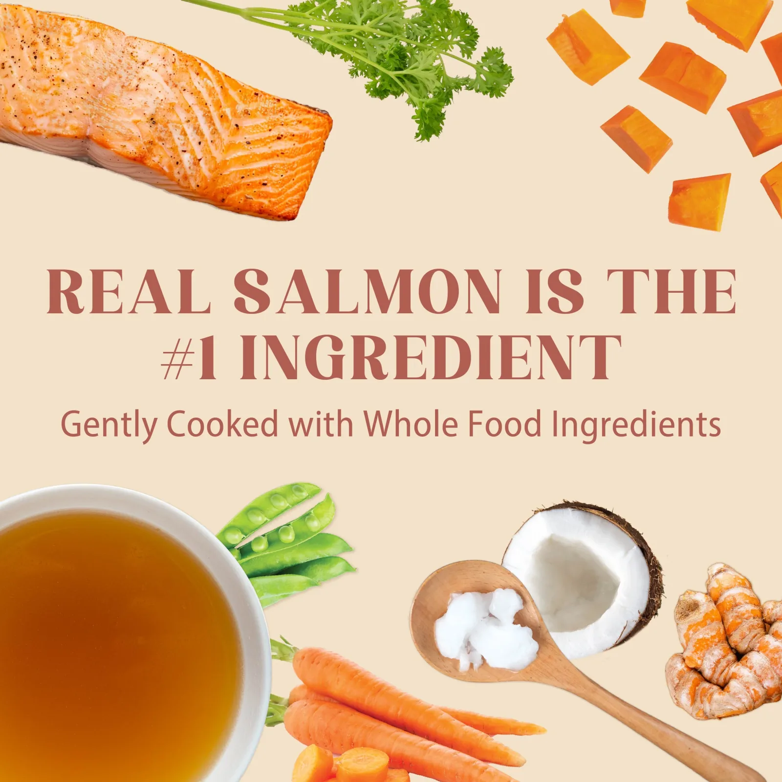 4Health Salmon Recipe Wet Food for Dogs - Gently Cooked - Image 2