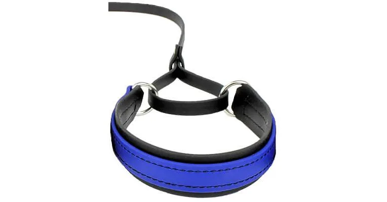 5/8" BioThane Sighthound-Style 2
