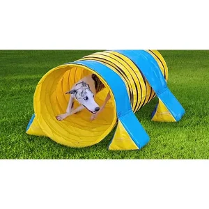 60 Things To Do with a Short (or Long) Tunnel in Your Backyard