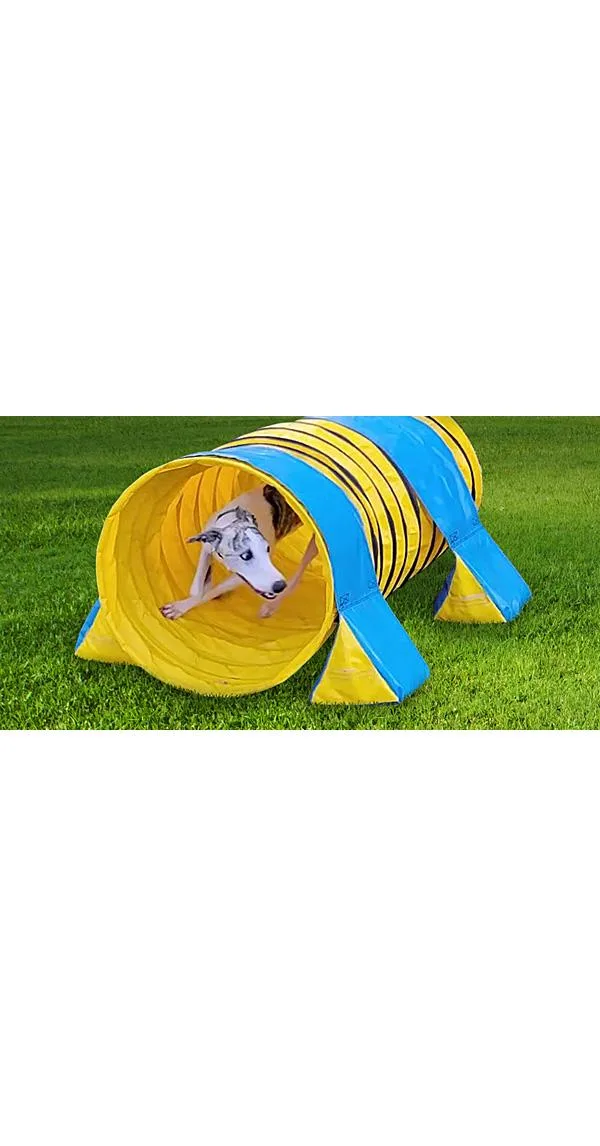 60 Things To Do with a Short (or Long) Tunnel in Your Backyard
