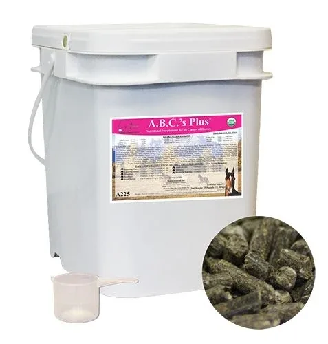 A.B.C.s Plus Equine Supplement - Image 2