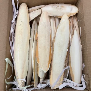 A & E Cages Cuttlebone Pieces Bulk Box 4-6 in, 5 lb