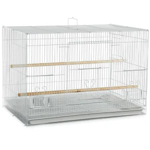 A & E Cages Flight Cage White 24In X 16 in, 4 pk
