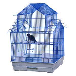 A & E Cages House Top Bird Cage in Retail Box Blue 18 Inches X 18 Inches