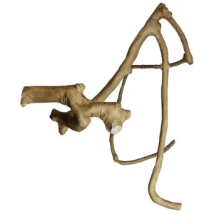 A E Cages Java Wood Multi Branch Bird Perch 1ea/LG