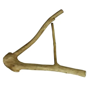 A & E Cages Java Wood Multi Branch Bird Perch Small