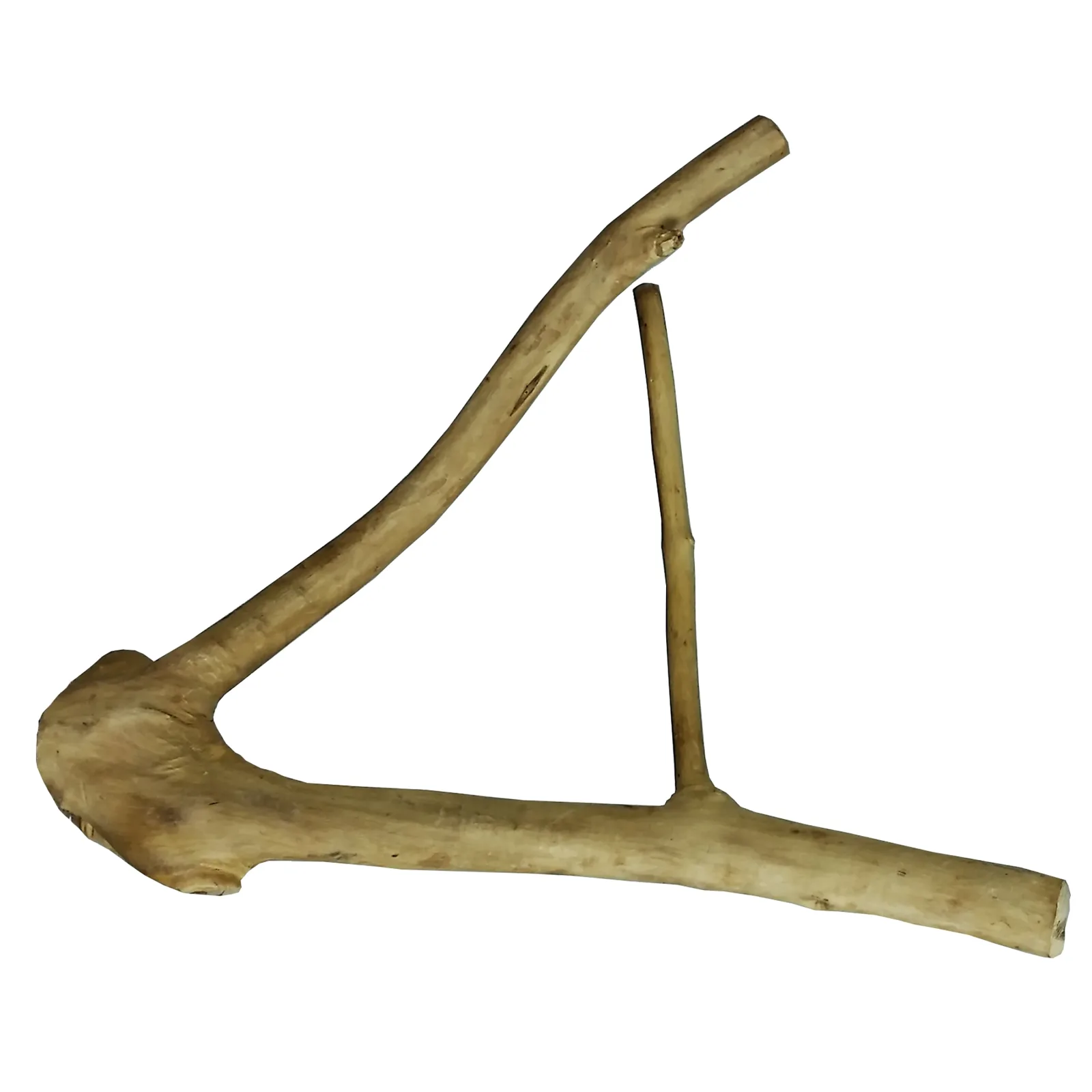 A & E Cages Java Wood Multi Branch Bird Perch Small