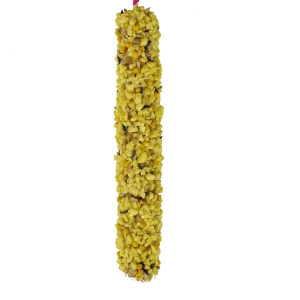 A & E Cages Smakers Snack Egg Treat Stick for Canaries 1.76 oz 2 Count