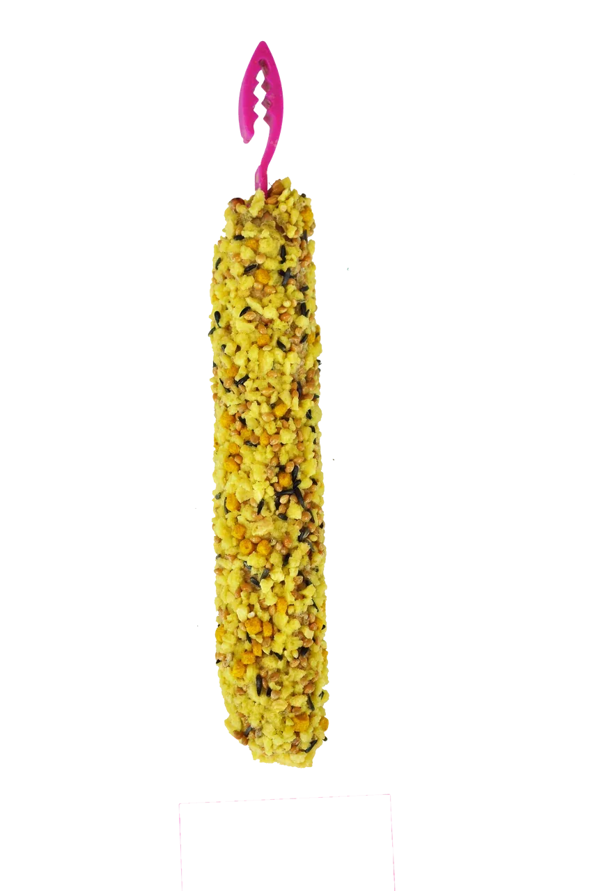 A & E Cages Smakers Snack Egg Treat Stick for Parakeets 2.82 oz 2 Count