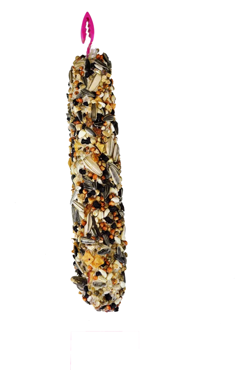 A & E Cages Smakers Snack Nut Treat Stick for Parrots 8.82 oz 2 Count