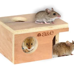 A & E Cages Small Animal Hut Mouse Wood 5 1/4 inches X 3 7/8 inches X 3 inches