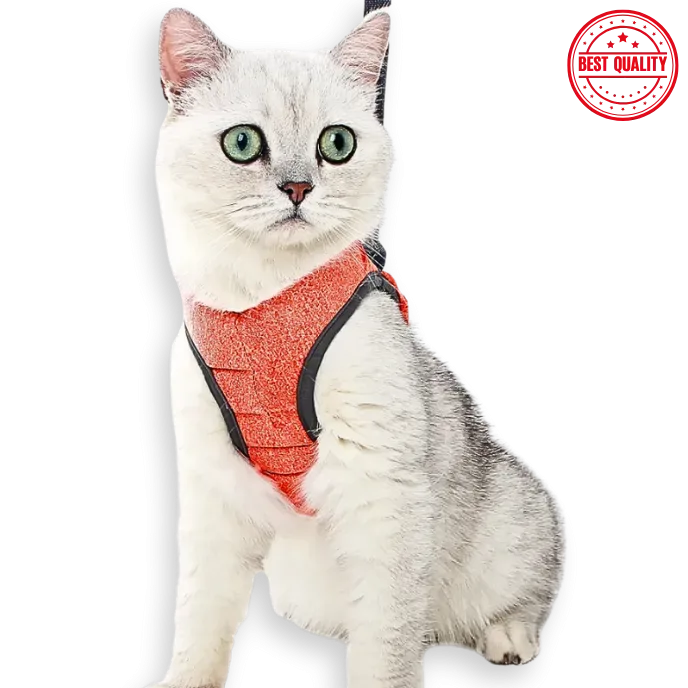 Adjustable Cat Harness & Leash – Secure Chest Strap