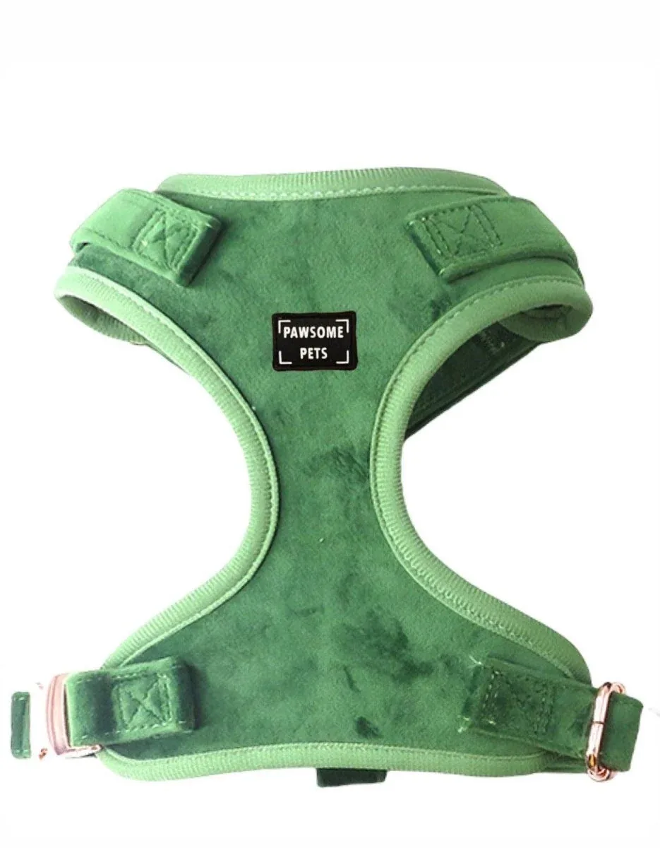 Adjustable Dog Harness, Celeste - Image 2