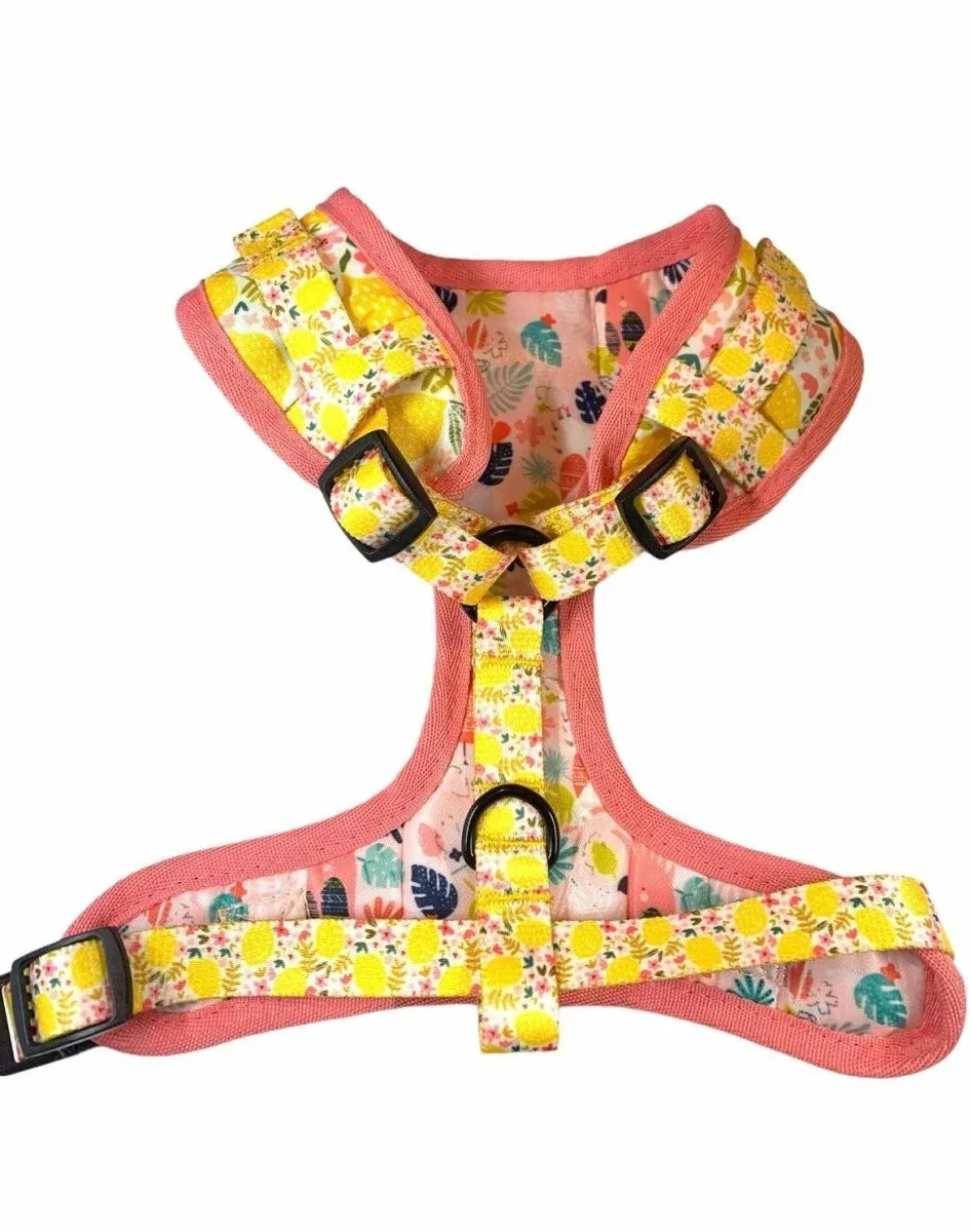 Adjustable Dog Harness, Oh My Lemon - Image 2