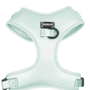 Adjustable Silk Dog Harness, Mint Green