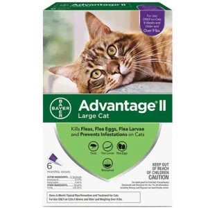 Advantage Ii Cat Large Cat 9+lb Purple 6 Pack