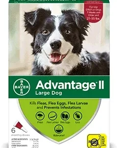 Advantage II Large Dog 6-Pack