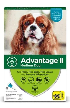 Advantage II Medium Dog 6-Pack