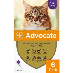 Advantage Multi (Advocate) Cats Over 8.8lbs (4kg) - 6 Pack