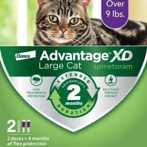 Advantage XD Topical Flea Protection for Large Cats, 2 Pk