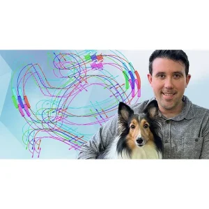 Agility Course Design - Roadmaps for Success for Handlers, Trainers & Judges