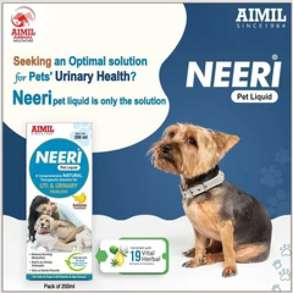 Aimil Neeri Liquid Supplement for Dogs and Cats - Image 2