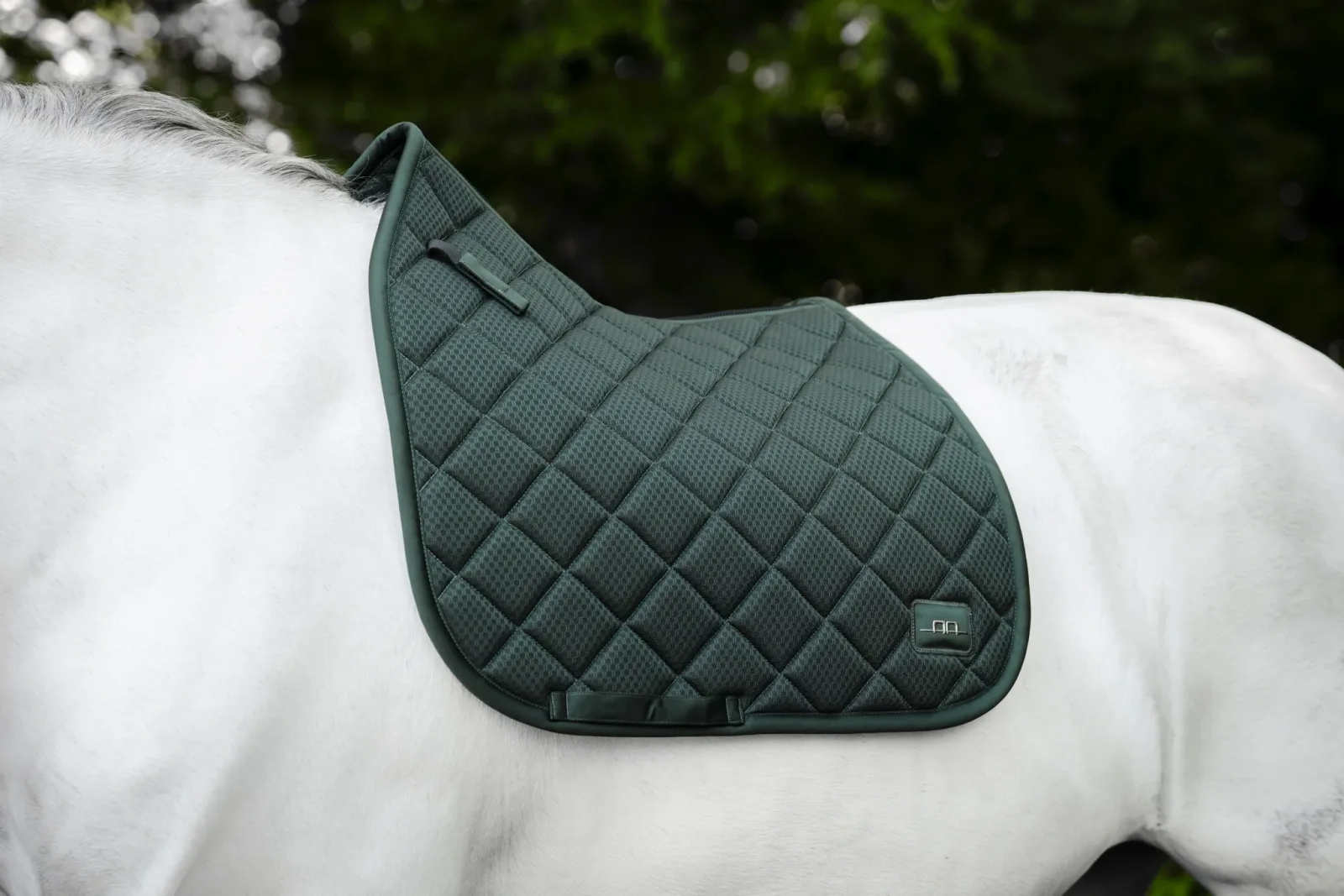 Alessandro Albanese Performance Dressage Pad - Image 2