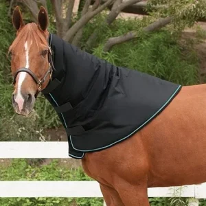 All Around Head & Neck Warmer Medium in Black