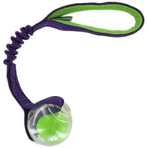 Amazing Squeaker Ball Bungee Tug