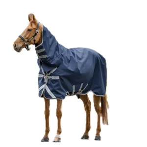 Amigo 1200D Integrated Turnout 50g