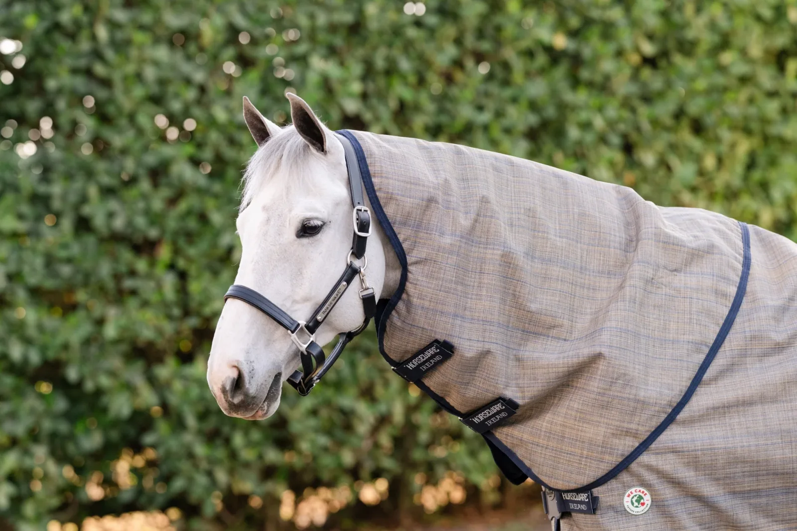 Amigo 900D Revive Plus Turnout 50g - Image 2