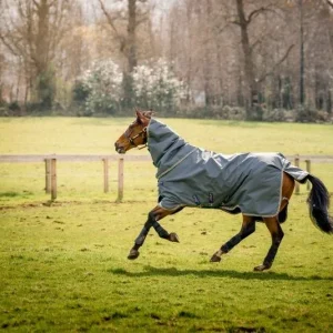 Amigo Bravo 12 Plus Turnout Bundle