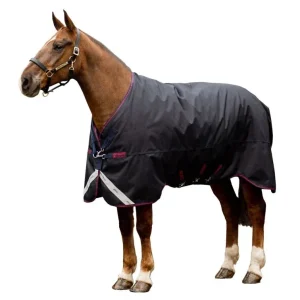 Amigo Bravo 12 XL Original T/O Lite