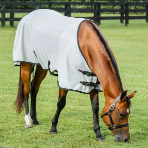 Amigo Bug Rug Stock Horse Fly Sheet
