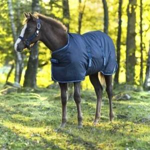 Amigo Foal Ripstop 200g Turnout Blanket