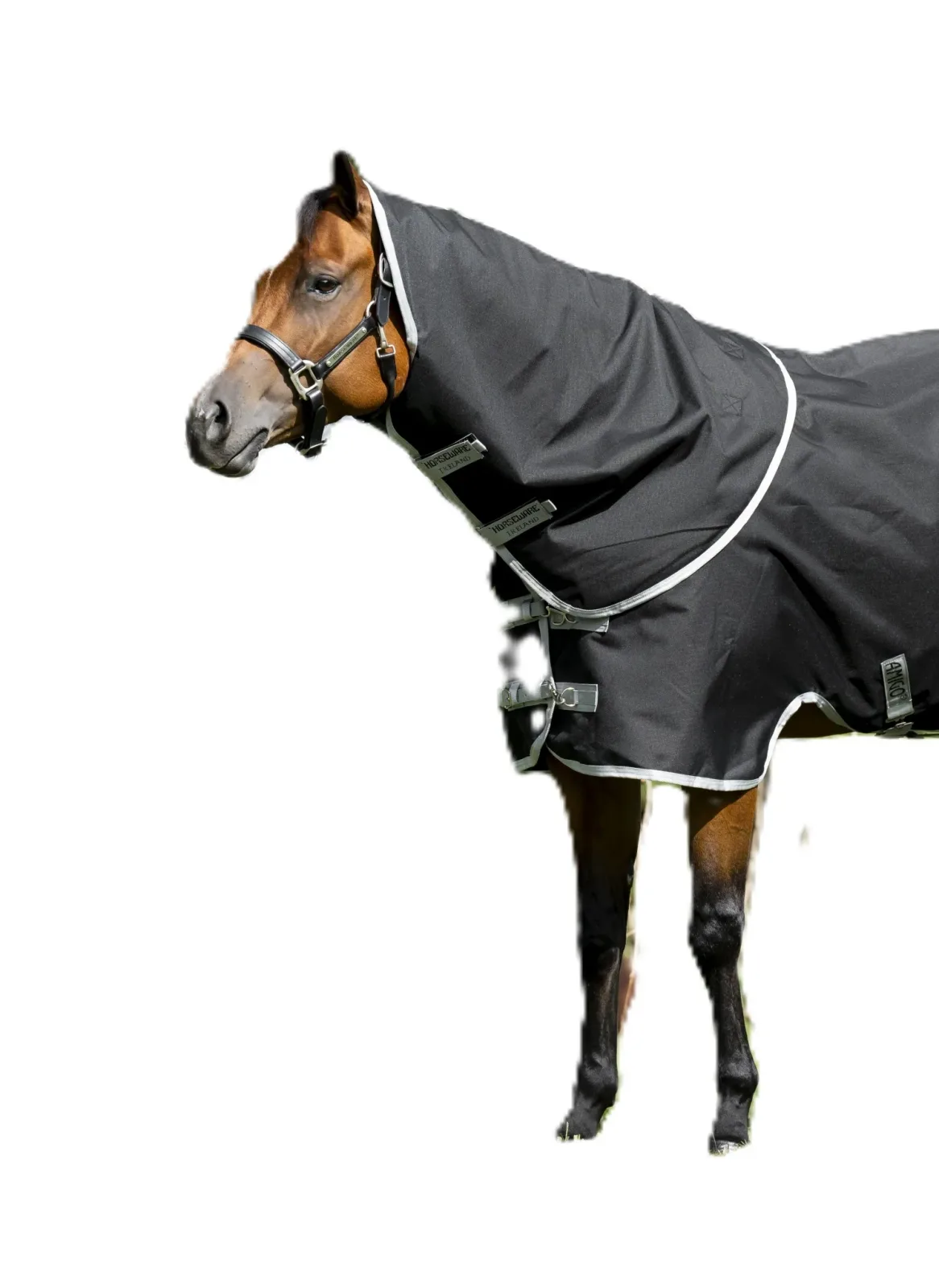 Amigo Ripstop 900D Quarter Horse Turnout Hood 0g