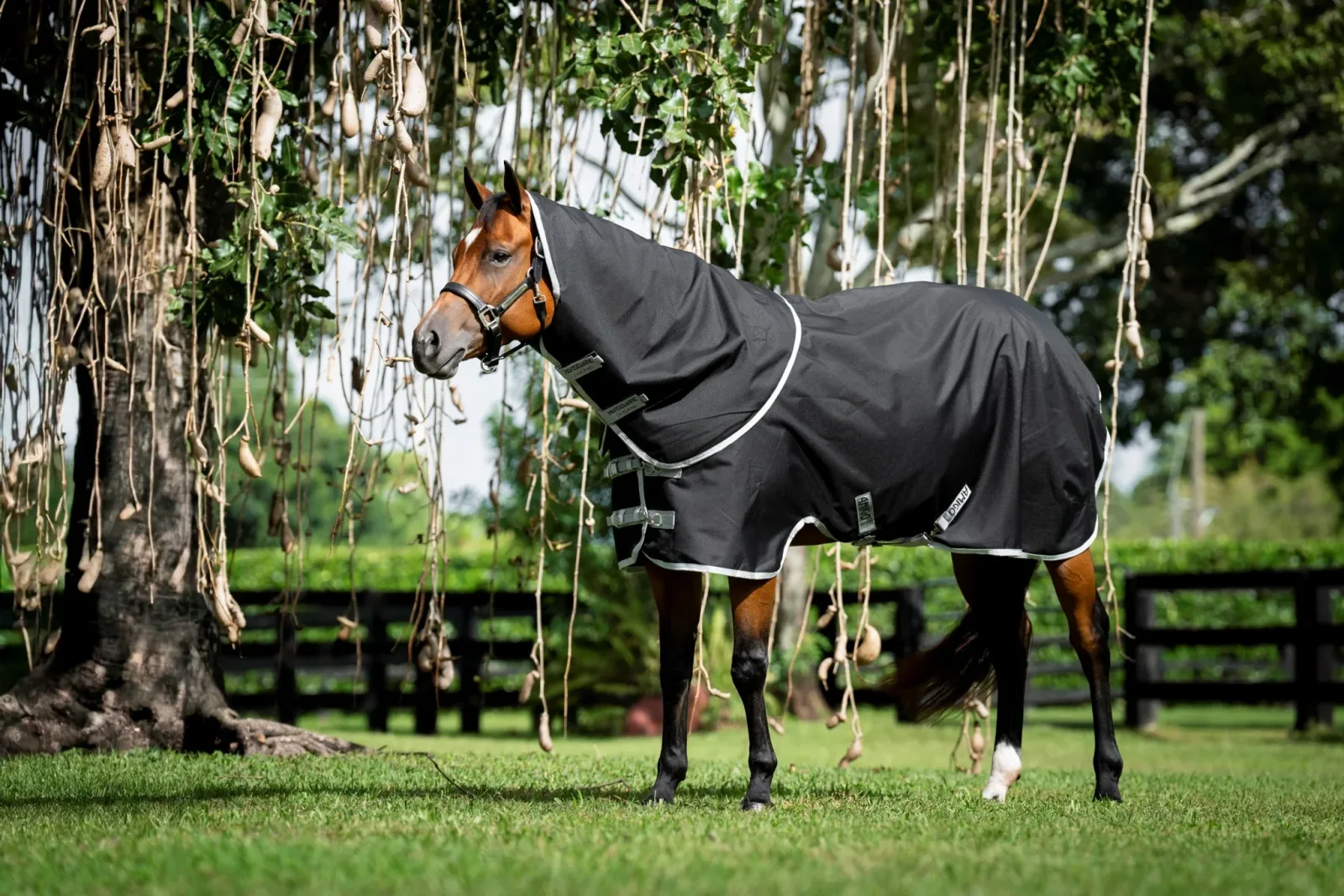 Amigo Ripstop 900D Quarter Horse Turnout Hood 0g - Image 2
