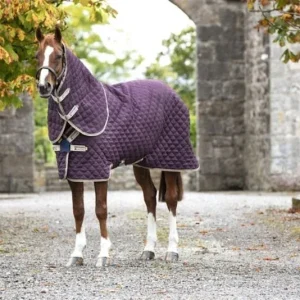 Amigo Stable Blanket Plus Medium