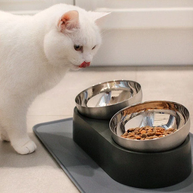 Anti-Vomiting Stainless Steel Cat Bowl - Image 2