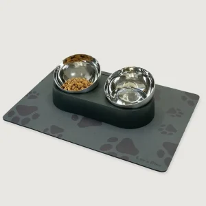 Anti-Vomiting Stainless Steel Cat Bowl