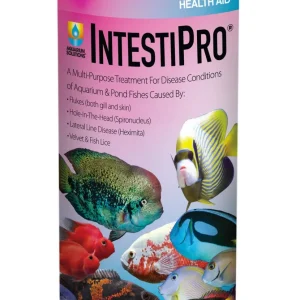 Aquarium Solutions IntestiPro Multi-Purpose Treatment 3.5 oz