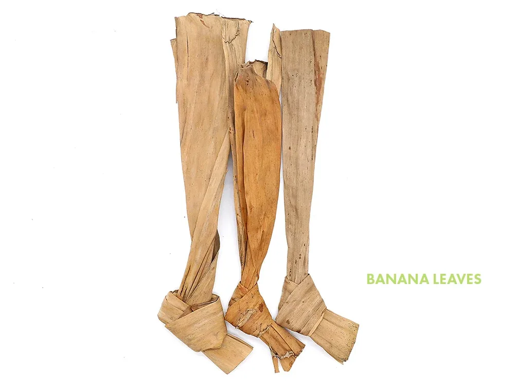 Aquatic Arts Mixed Fruit Leaf Botanical Pack (Mango, Guava, Banana & Jackfruit) - Dried Botanicals - Image 2