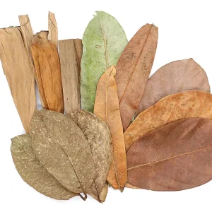 Aquatic Arts Mixed Fruit Leaf Botanical Pack (Mango, Guava, Banana & Jackfruit) - Dried Botanicals
